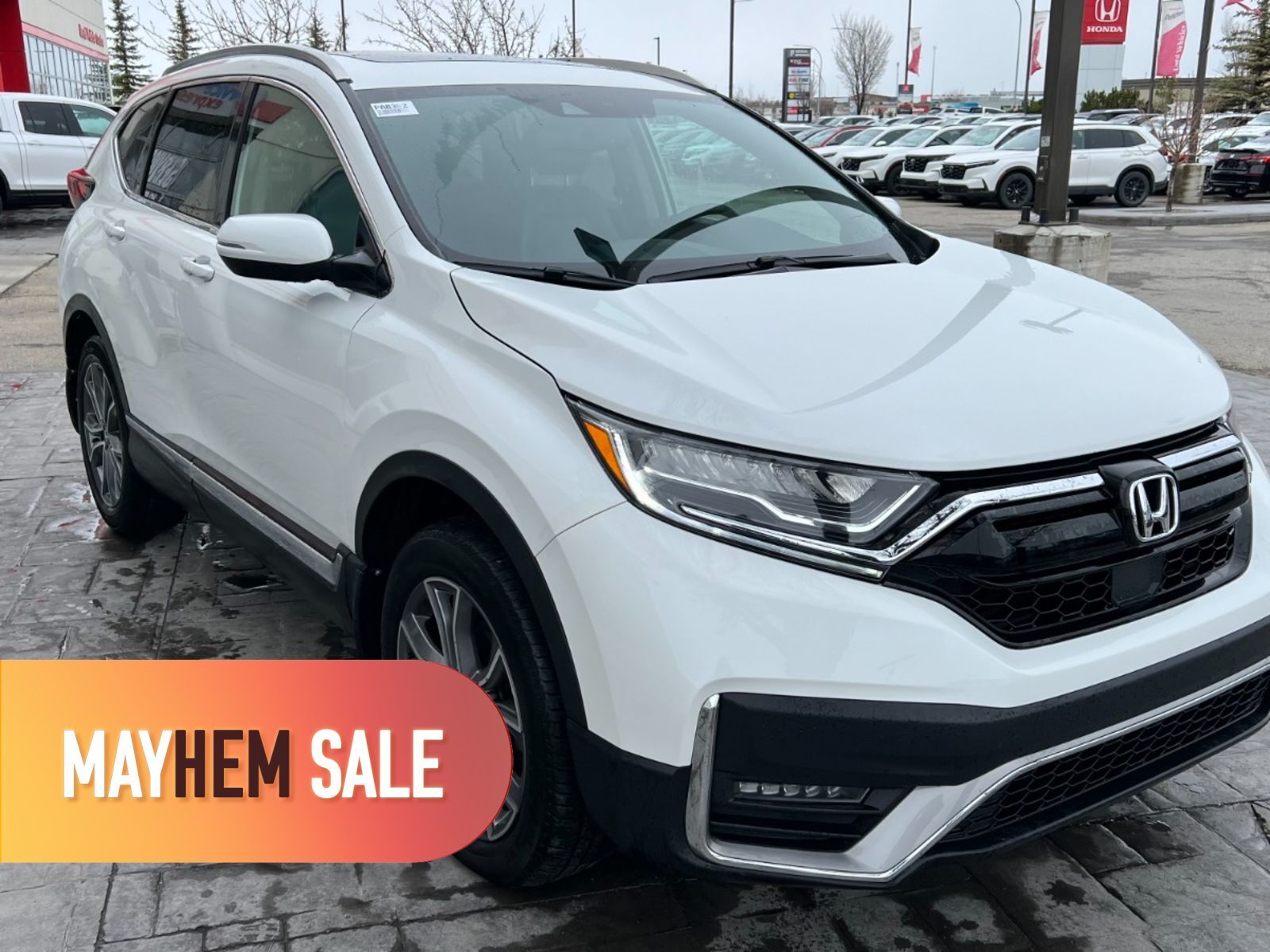 2020 Honda CR-V Black Edition | Clean Carfax!! | No Accidents or C