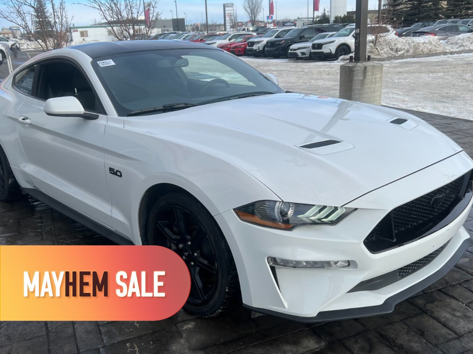 2019 Ford Mustang 5.0L GT Fastback | 460 hp | Clean BC CarFax No Acc