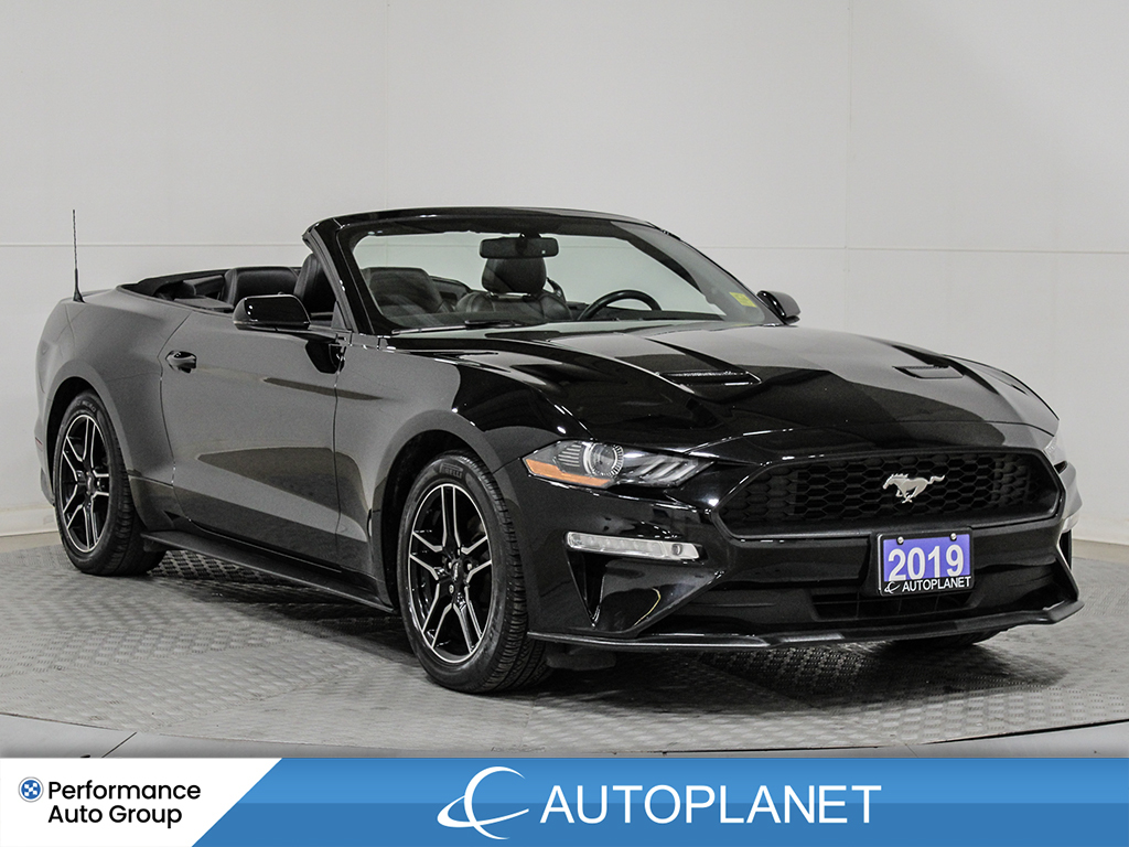 2019 Ford Mustang EcoBoost Premium Convertible, Navi, Back Up Cam!