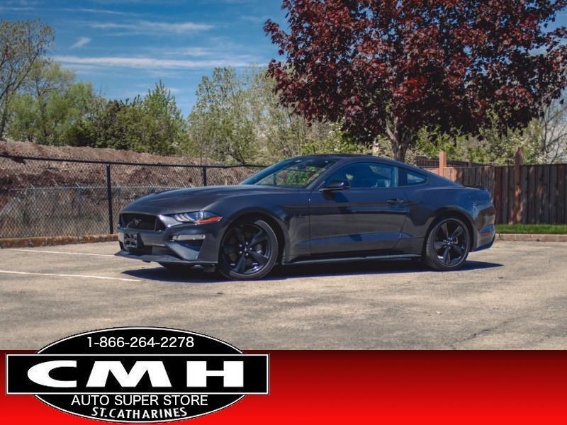 2023 Ford Mustang GT Premium  - Low Mileage