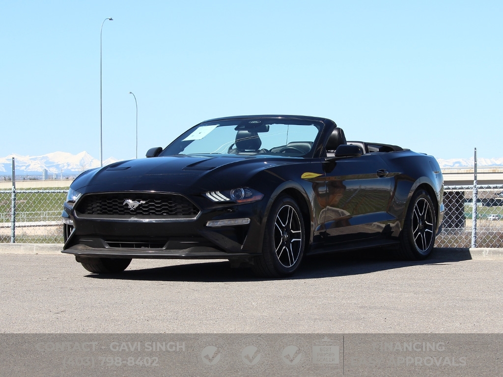 2023 Ford Mustang EcoBoost Premium | CONVERTIBLE | 