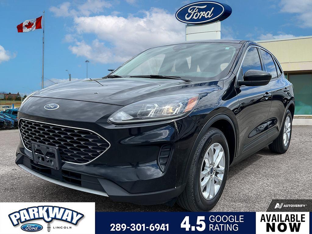 2020 Ford Escape SE ONE OWNER | REAR CAMERA | FWD
