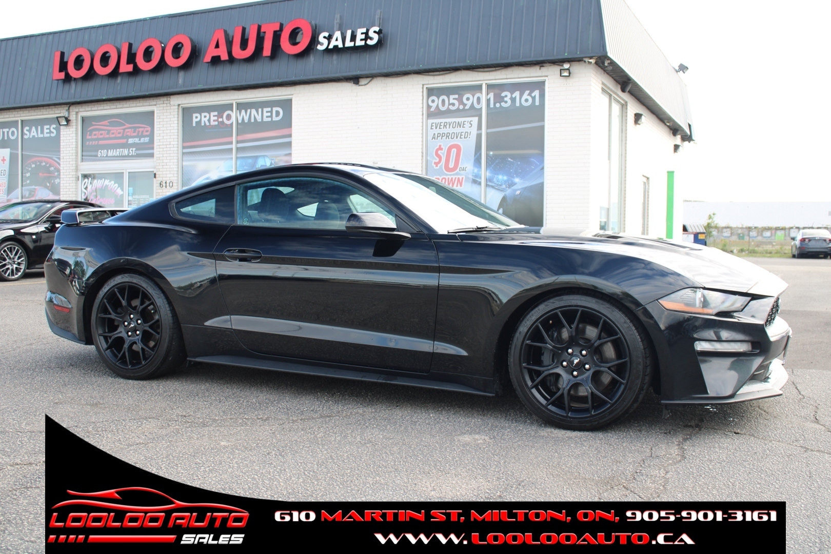 2019 Ford Mustang EcoBoost Coupe 6 Speed Manual $99/Weekly Certified