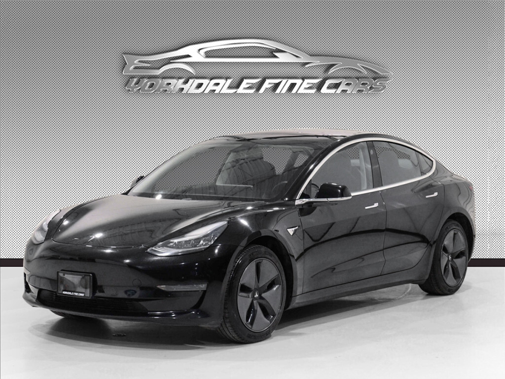 2019 Tesla Model 3 Long Range / Autopilot / Pano Moonroof / Clean Car