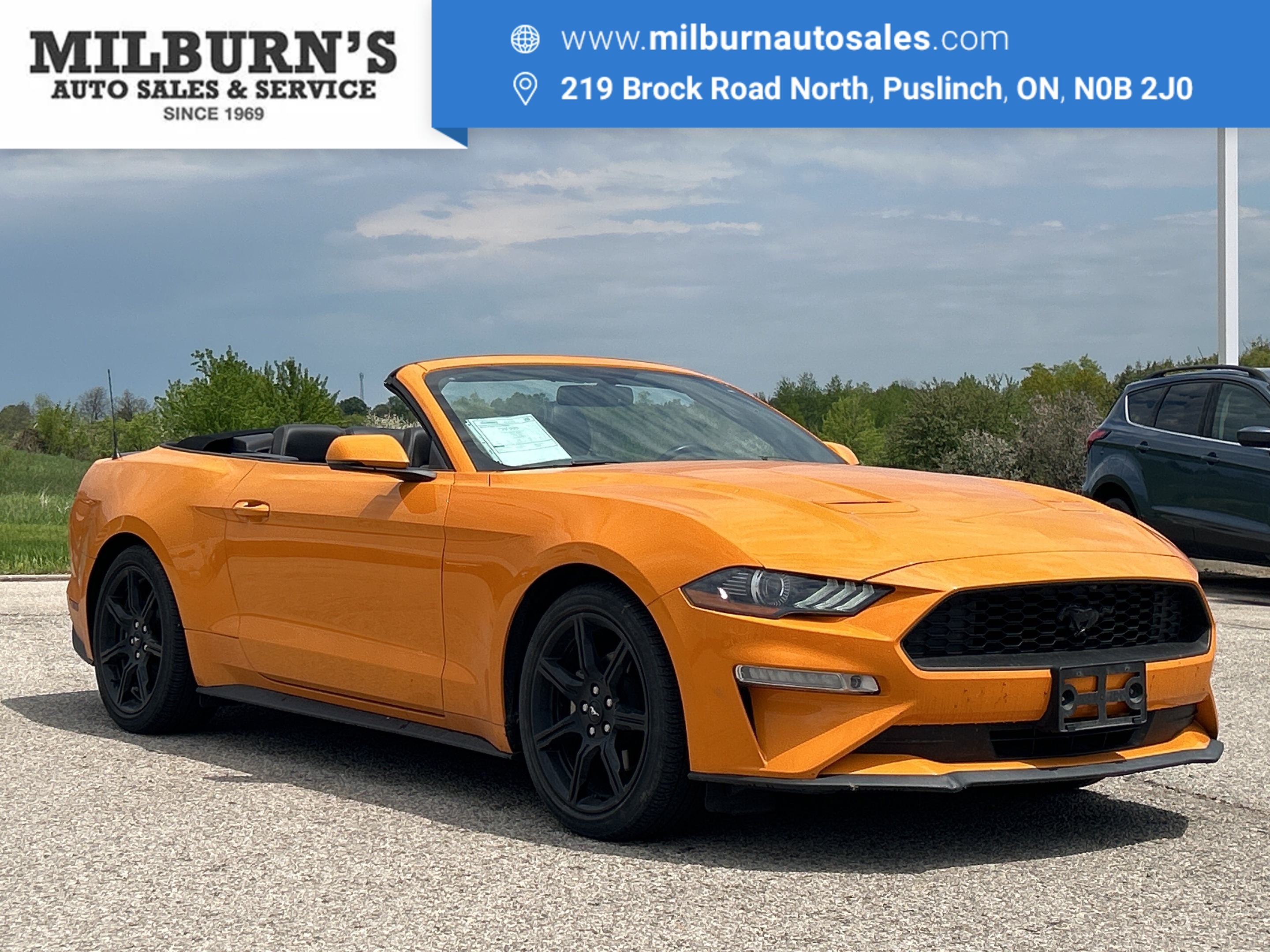 2019 Ford Mustang EcoBoost Premium Conv.| Nav. | Heated/Cooled Seats