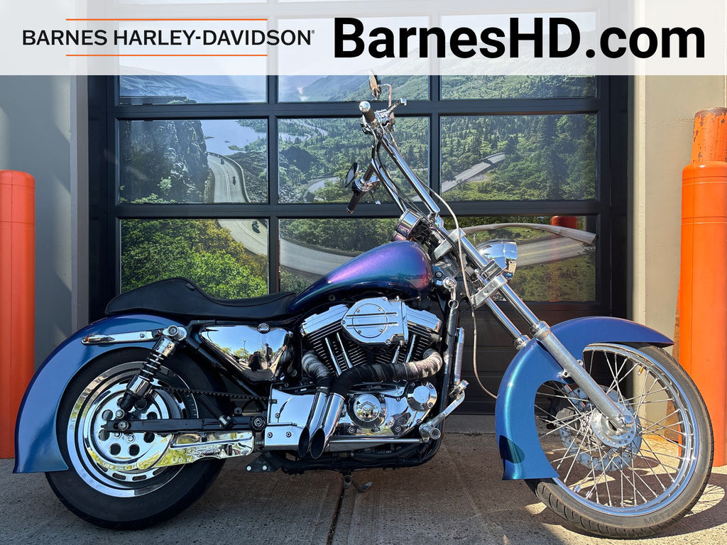 2001 Harley-Davidson XL1200C Sportster 1200 Custom 