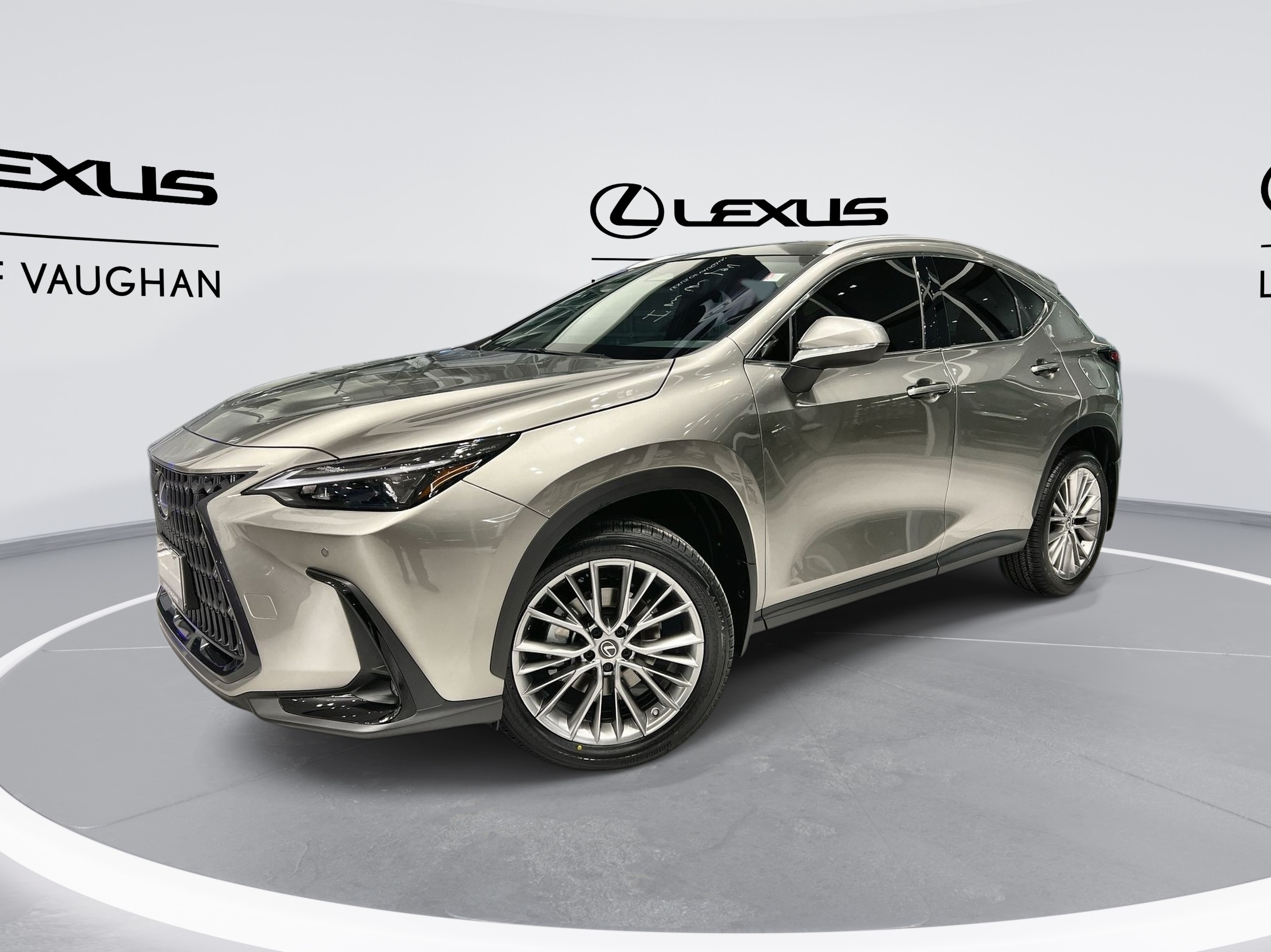2025 Lexus NX 350 Luxury Package