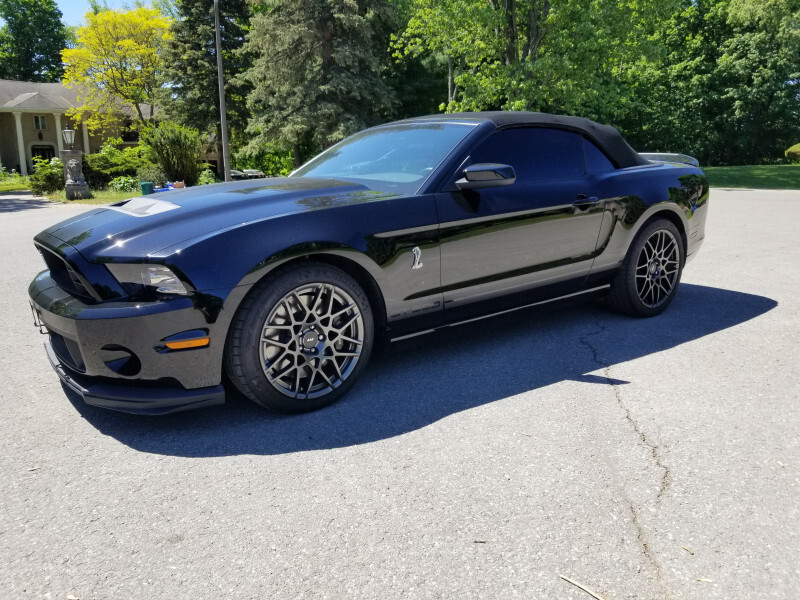 2014 Ford Mustang Shelby GT500  - Low Mileage