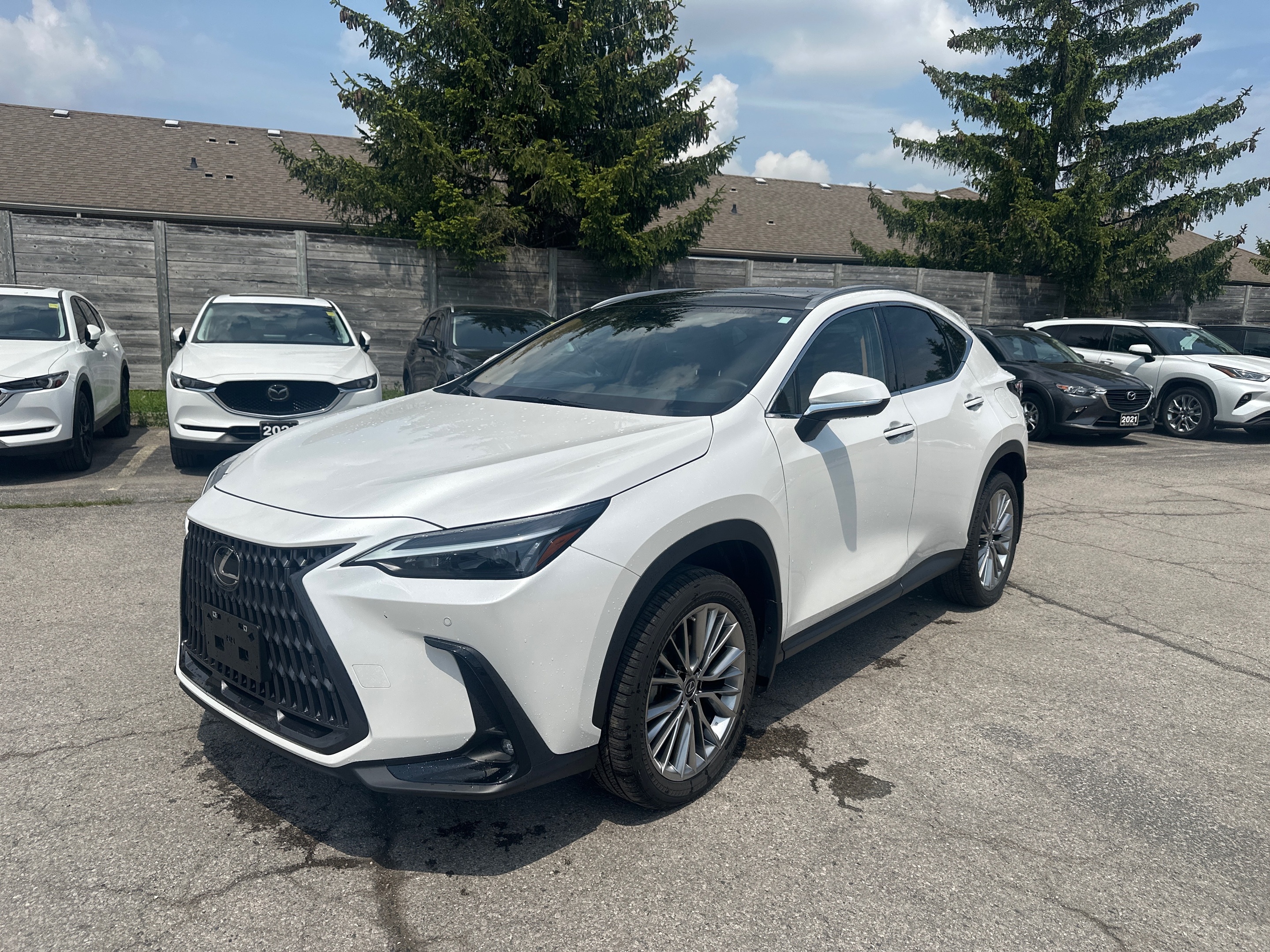 2022 Lexus NX 350 One owner / LOW KM / CLEAN CARFAX