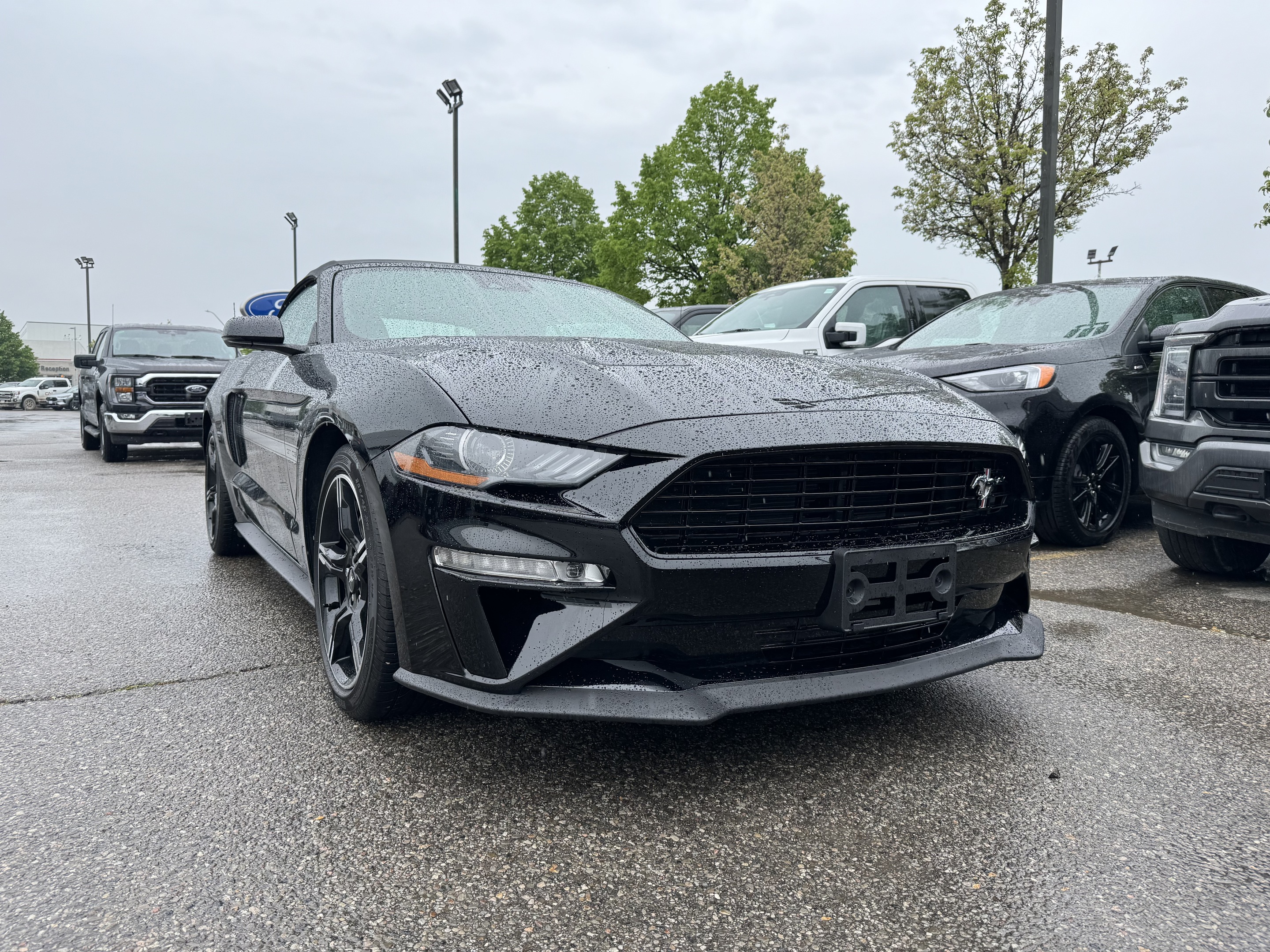 2020 Ford Mustang GT Premium | 5.0L | CAL SPECIAL | ACTIVE EXH | B&O