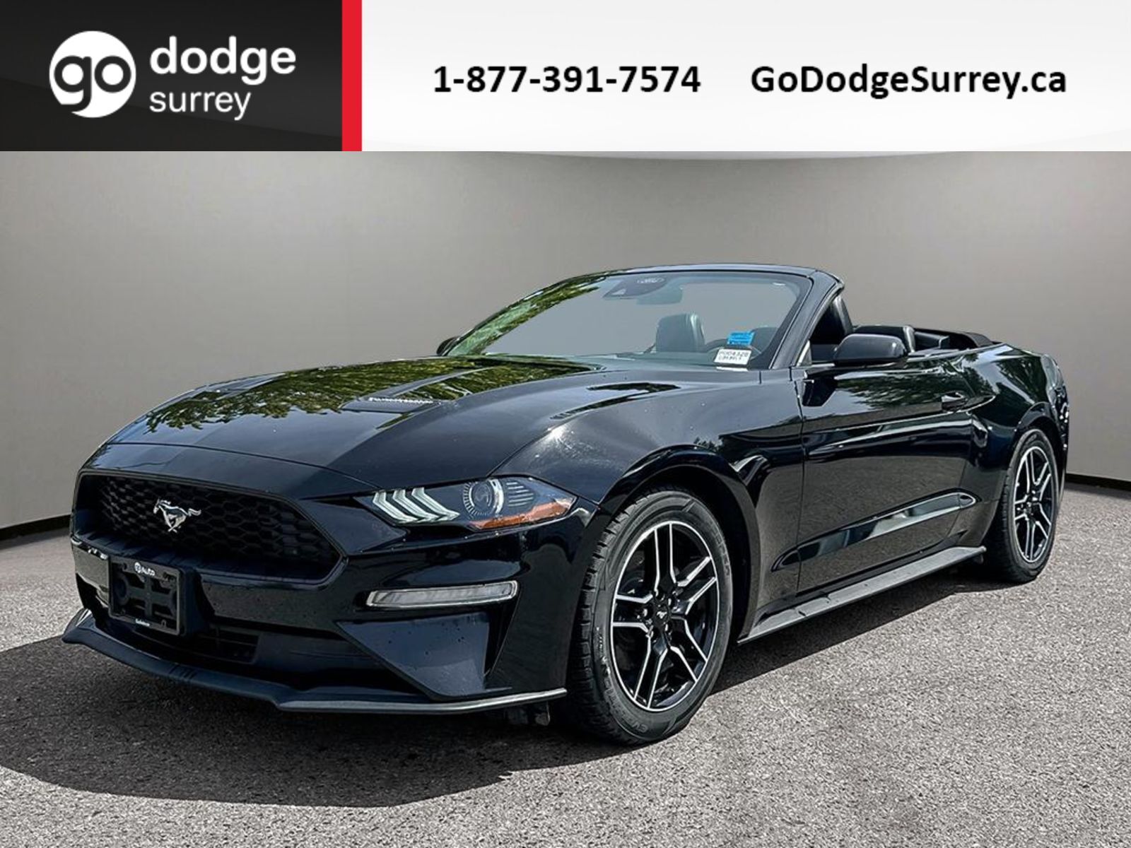 2023 Ford Mustang EcoBoost + CONVERTIBLE/LEATHER/REAR VIEW CAM/NO EX