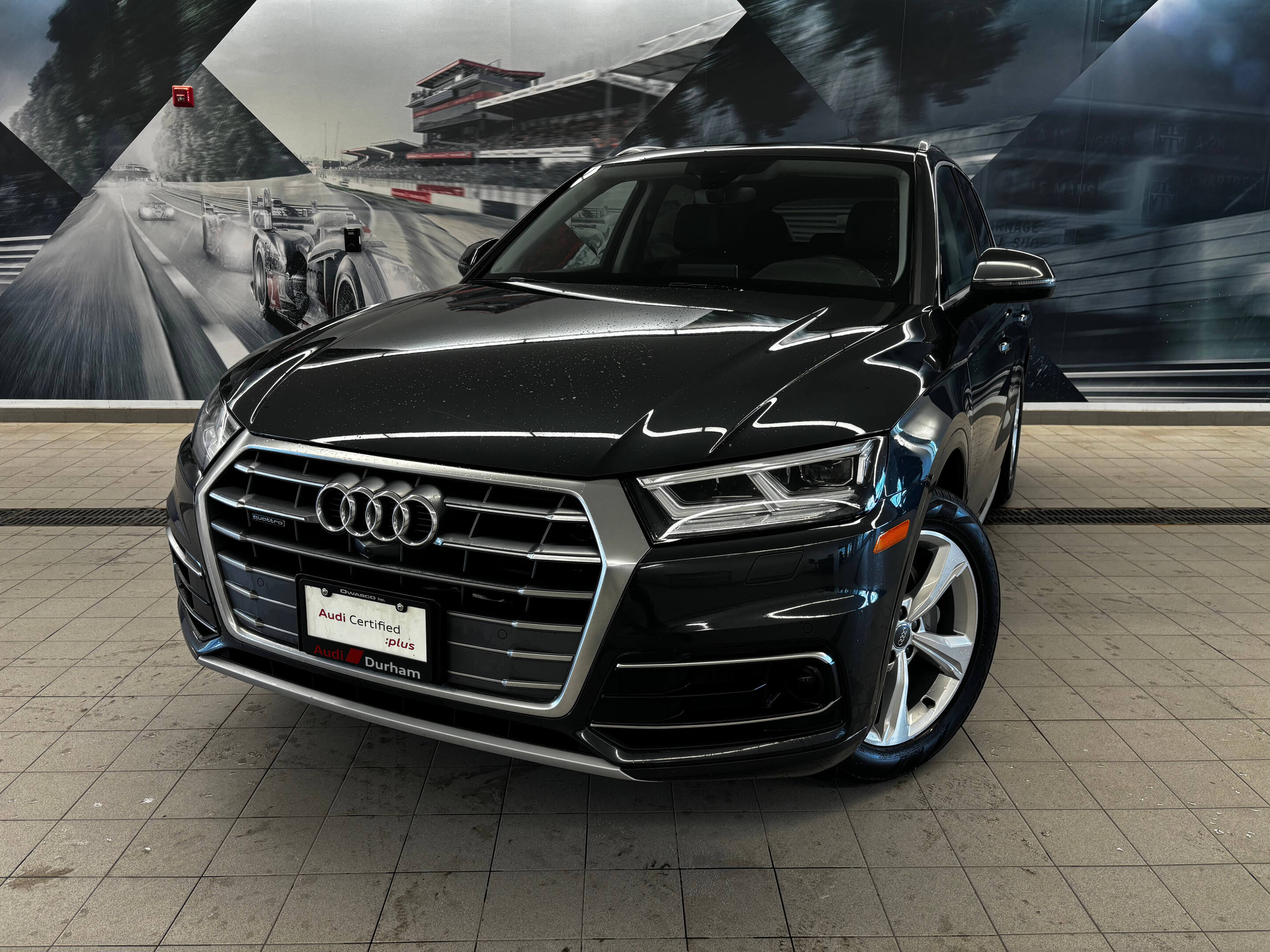 2019 Audi Q5 2.0T Technik + Adv. Driver Assist