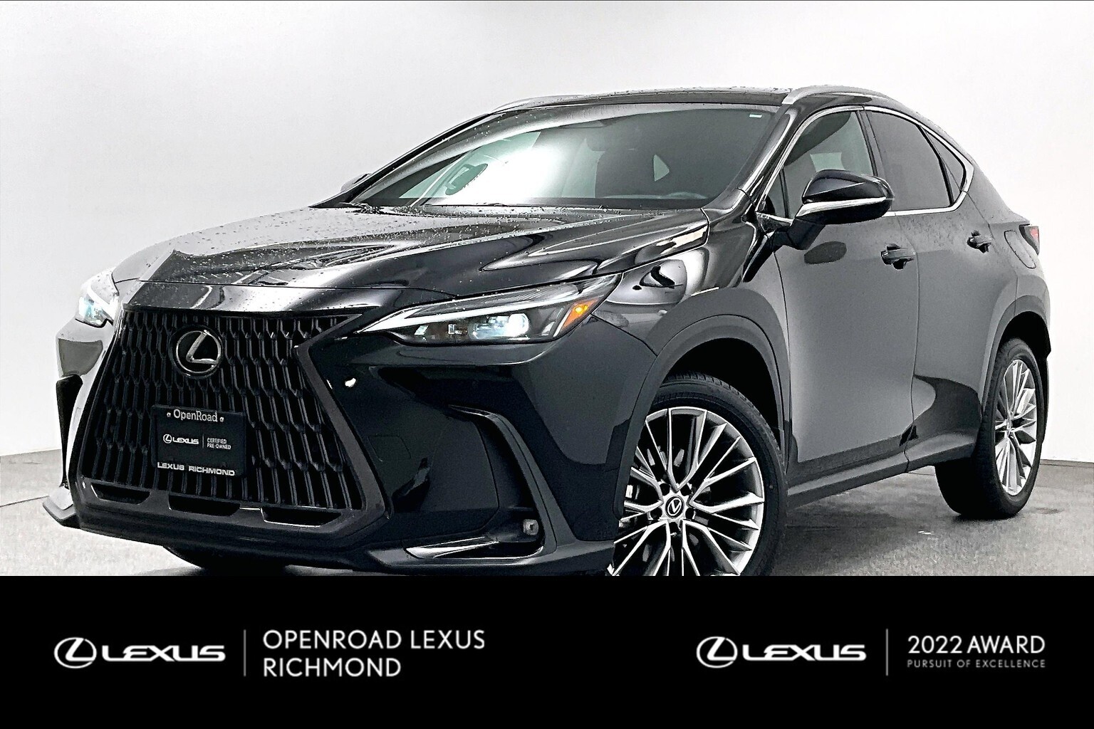 2022 Lexus NX | LUXURY PACKAGE | NO ACCIDENTS |