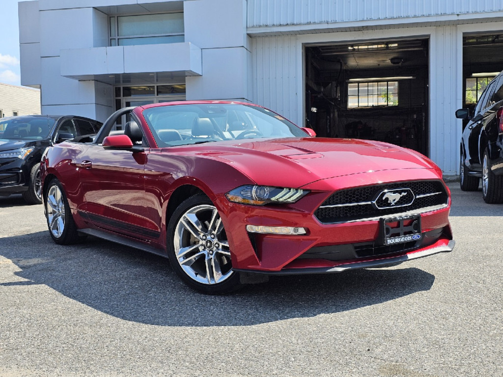 2020 Ford Mustang EcoBoost Premium  - Low Mileage