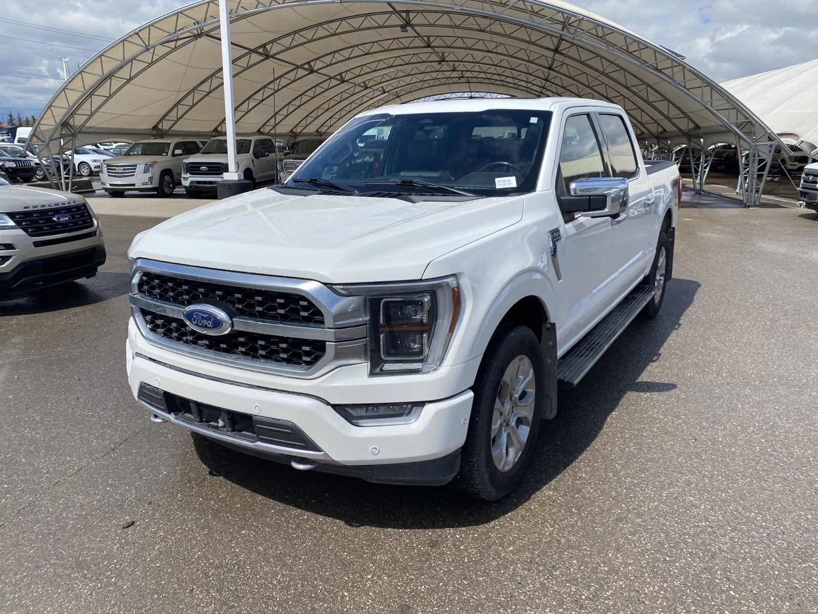 2021 Ford F-150 PLATINUM / 3.5L ECO / PANO ROOF