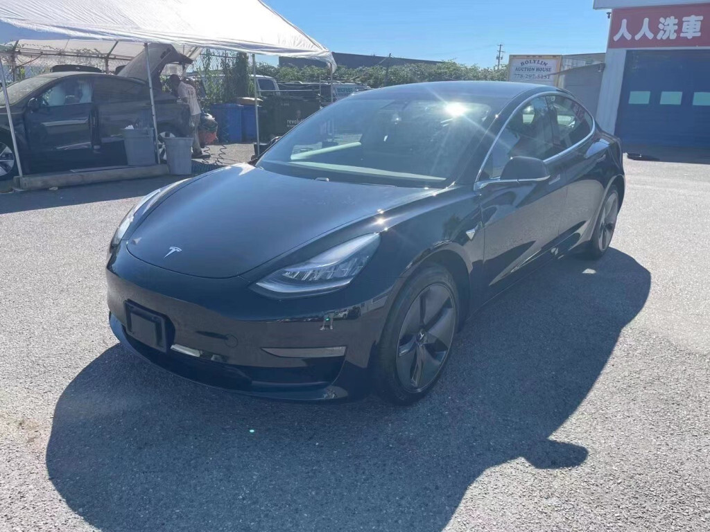 2019 Tesla Model 3 Standard Range Plus Ray 6043191888