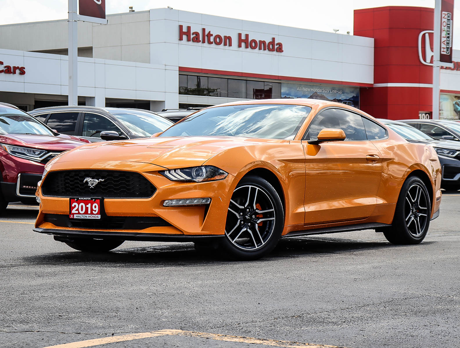 2019 Ford Mustang ECOBOOST RWD  |  AUTO DIMMING REARVIEW MIRROR  |  
