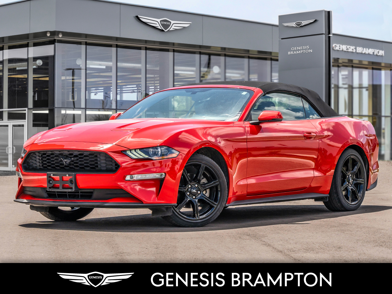 2019 Ford Mustang EcoBoost Premium Convertible, NO ACCIDENTS!!!