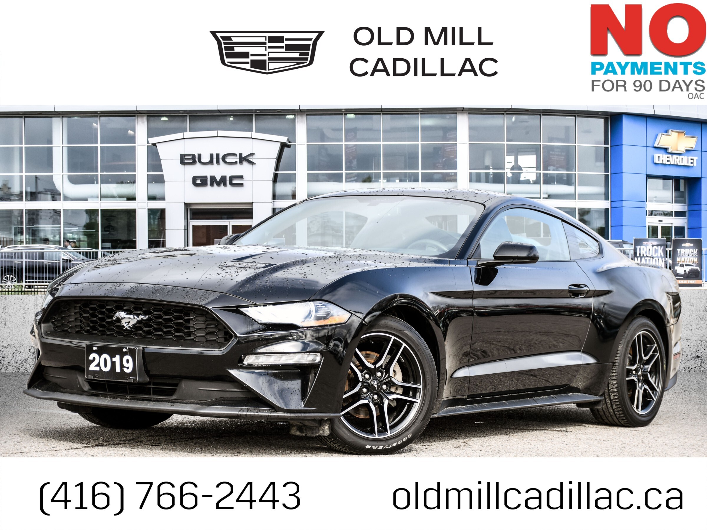 2019 Ford Mustang SOLD!
