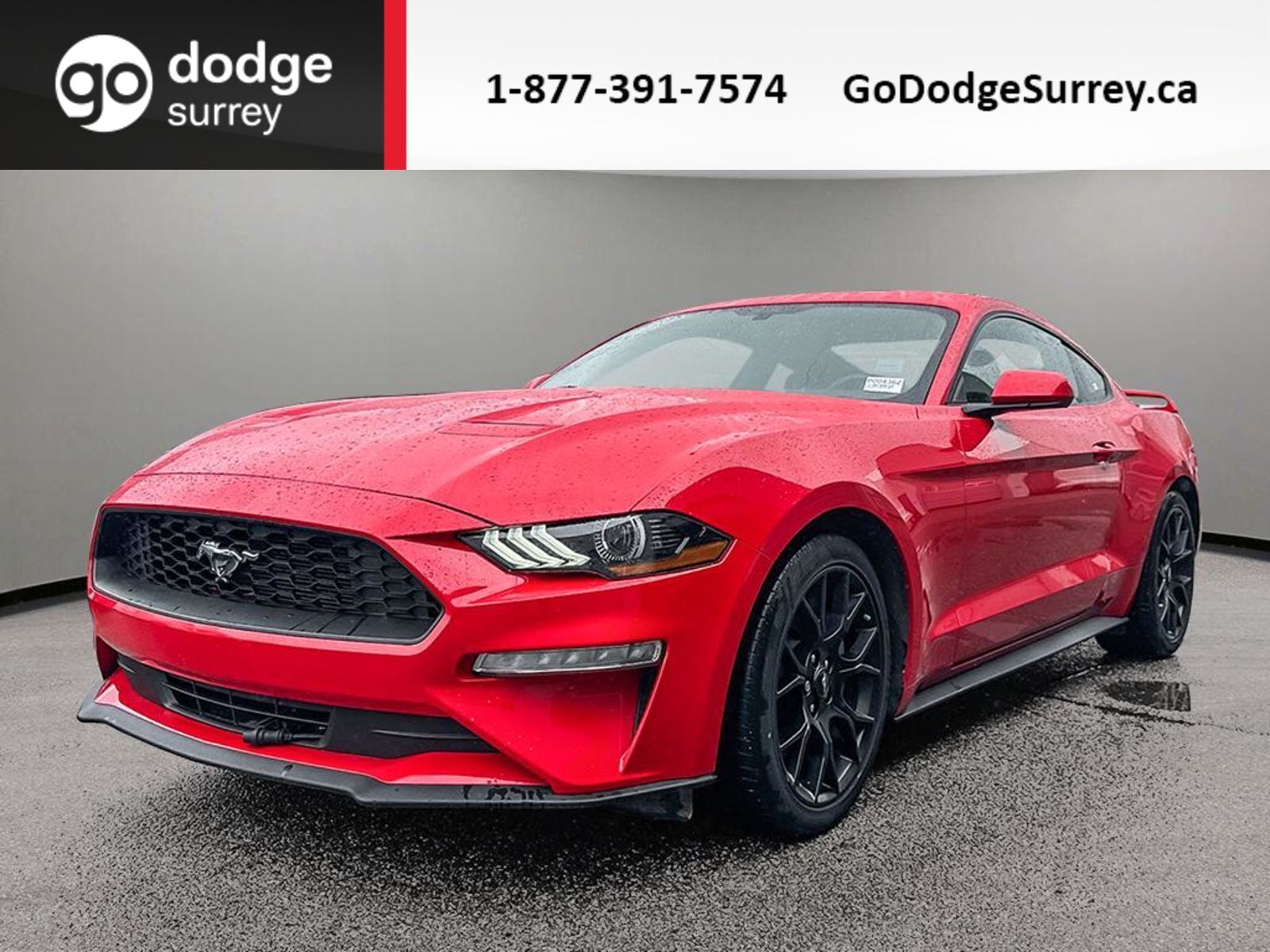 2018 Ford Mustang EcoBoost + REAR VIEW CAM/CRUISE CONTROL/NO EXTRA F
