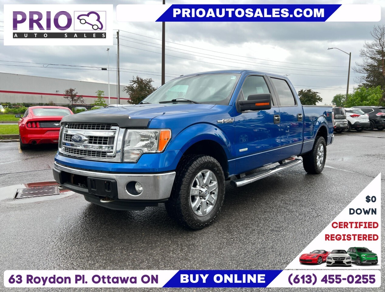 2013 Ford F-150 4WD SuperCrew Styleside 5-1/2 Ft Box XLT