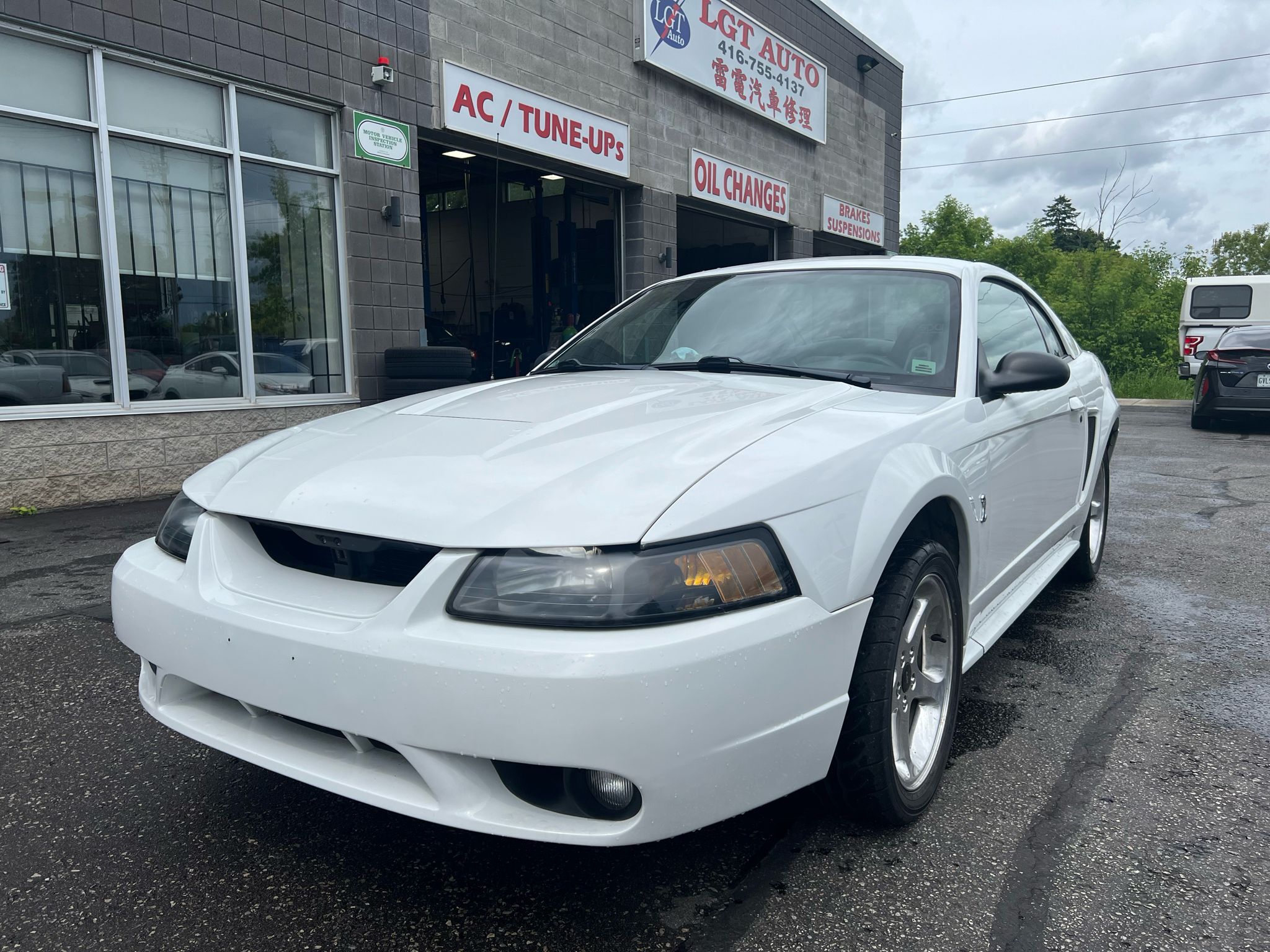 2001 Ford Mustang 2dr Cpe SVT Cobra only 36834kms 