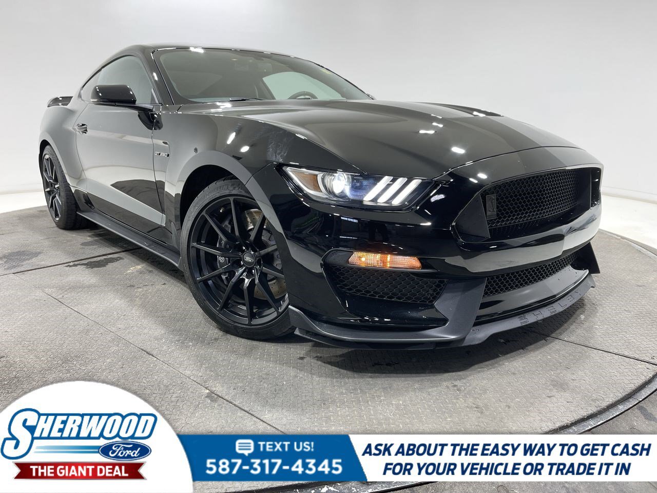 2016 Ford Mustang GT350- $0 Down $381 Weekly- MANUAL
