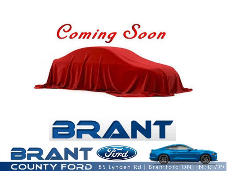 2020 Ford EcoSport Titanium 4WD2.0L engine roof navi great 2nd car 
