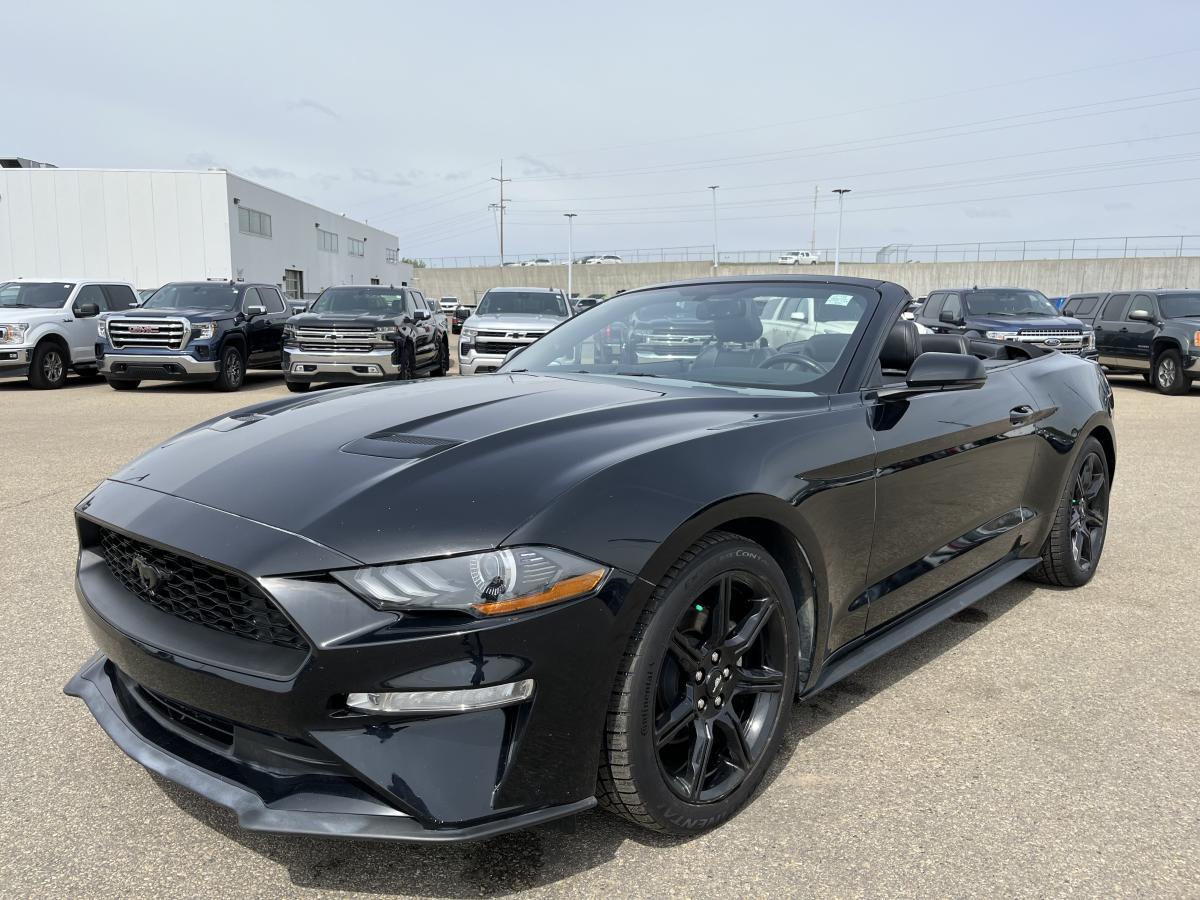 2019 Ford Mustang Ecoboost Convertible | REMOTE | LEATHER SEATS | XM
