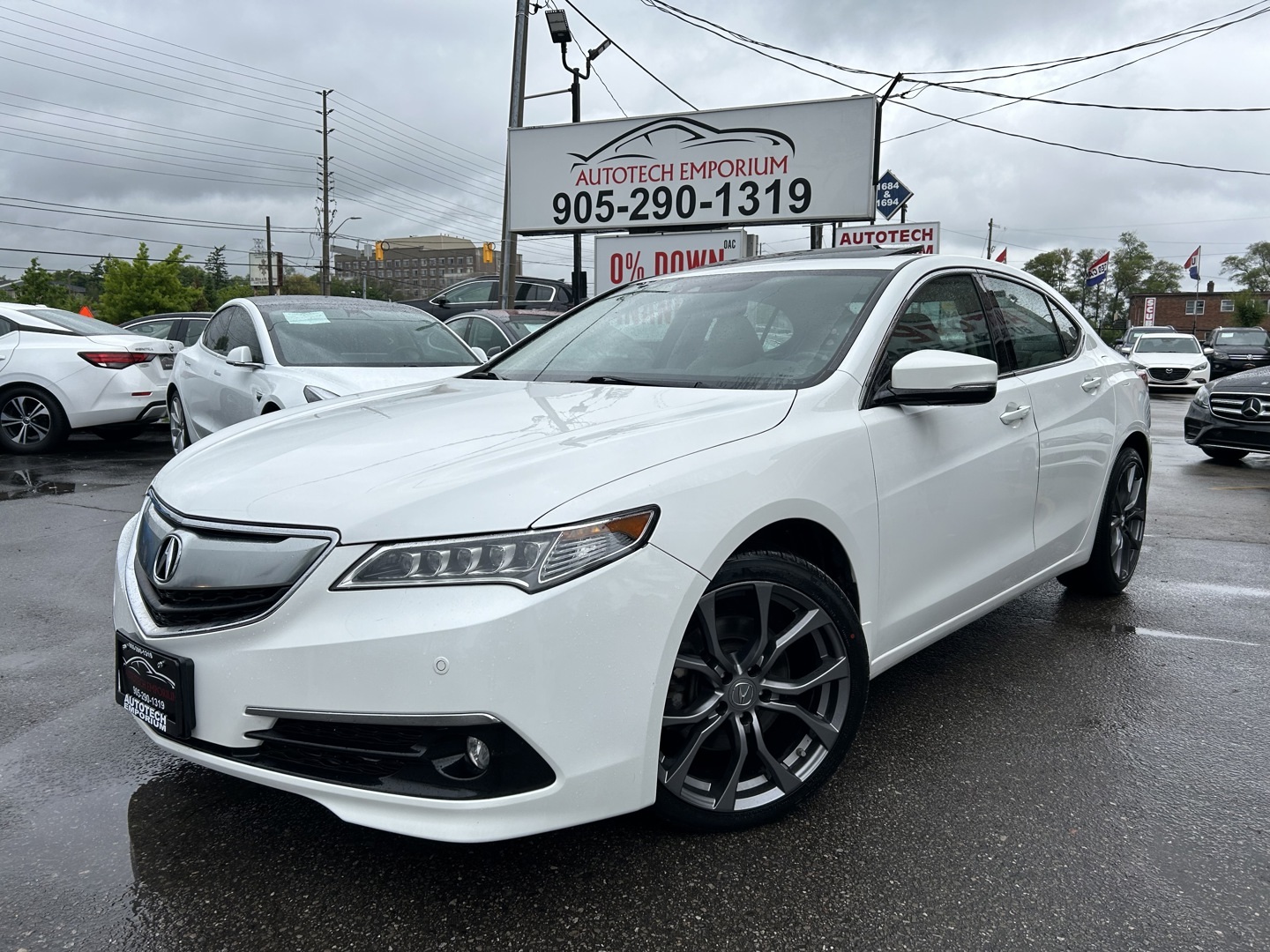 2017 Acura TLX ELITE Pearl White  / Leather / Ventilated Seats / 