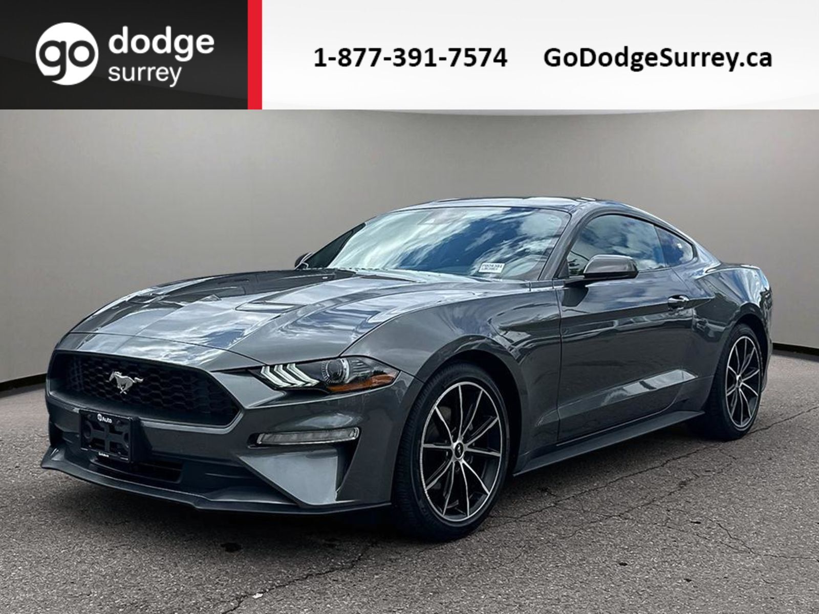 2022 Ford Mustang EcoBoost + REAR VIEW CAM/APPLE CARPLAY/SXM/NO EXTR