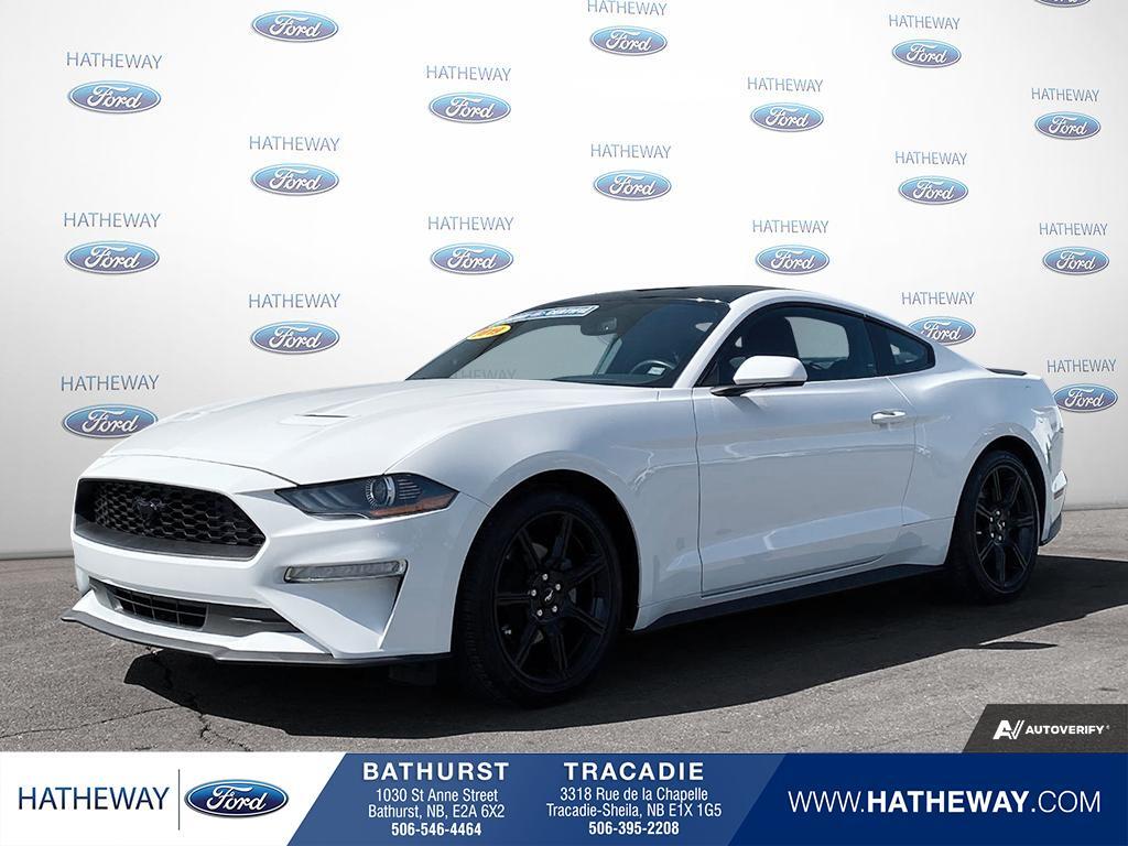 2019 Ford Mustang EcoBoost Fastback