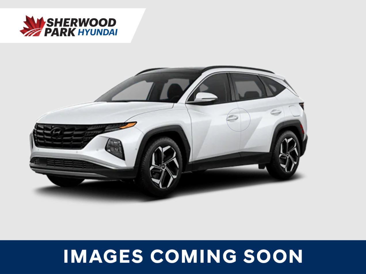 2024 Hyundai Tucson Trend | AWD | SUNROOF | ADAPTIVE CRUISE | HEATED S