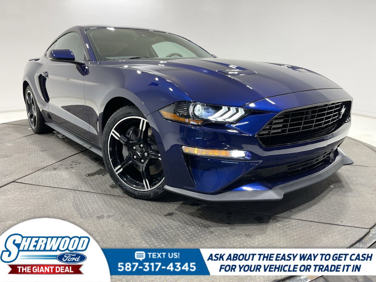 2019 Ford Mustang GT Premium- 401A- CALIFORNIA SPECIAL