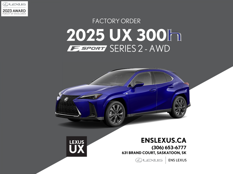 2025 Lexus UX 300h 