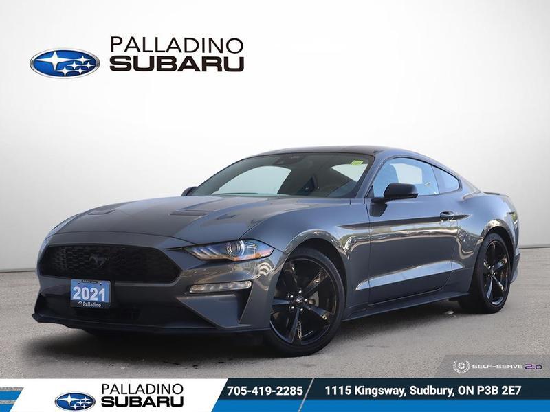 2021 Ford Mustang EcoBoost  - Low Mileage