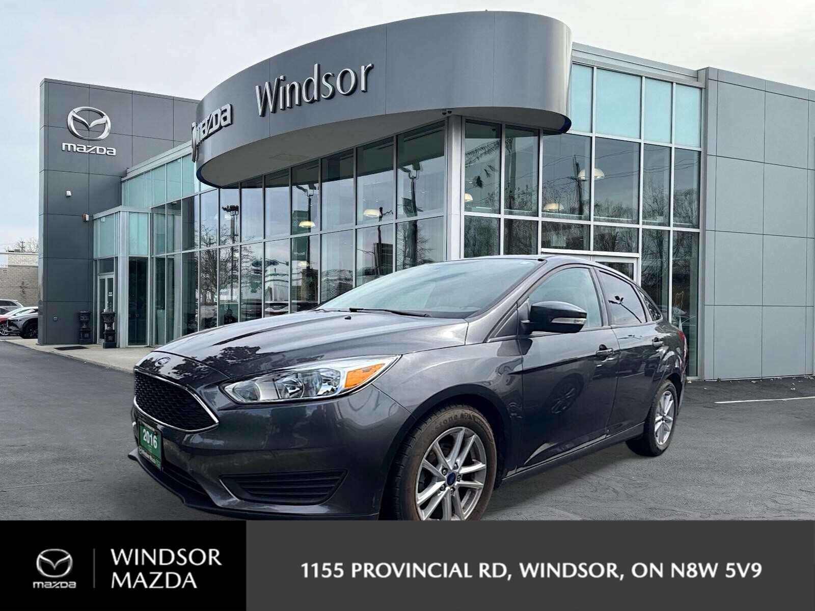 2016 Ford Focus NO ACCIDENTS, LOW KILOMETRES, GREAT FIRST CAR