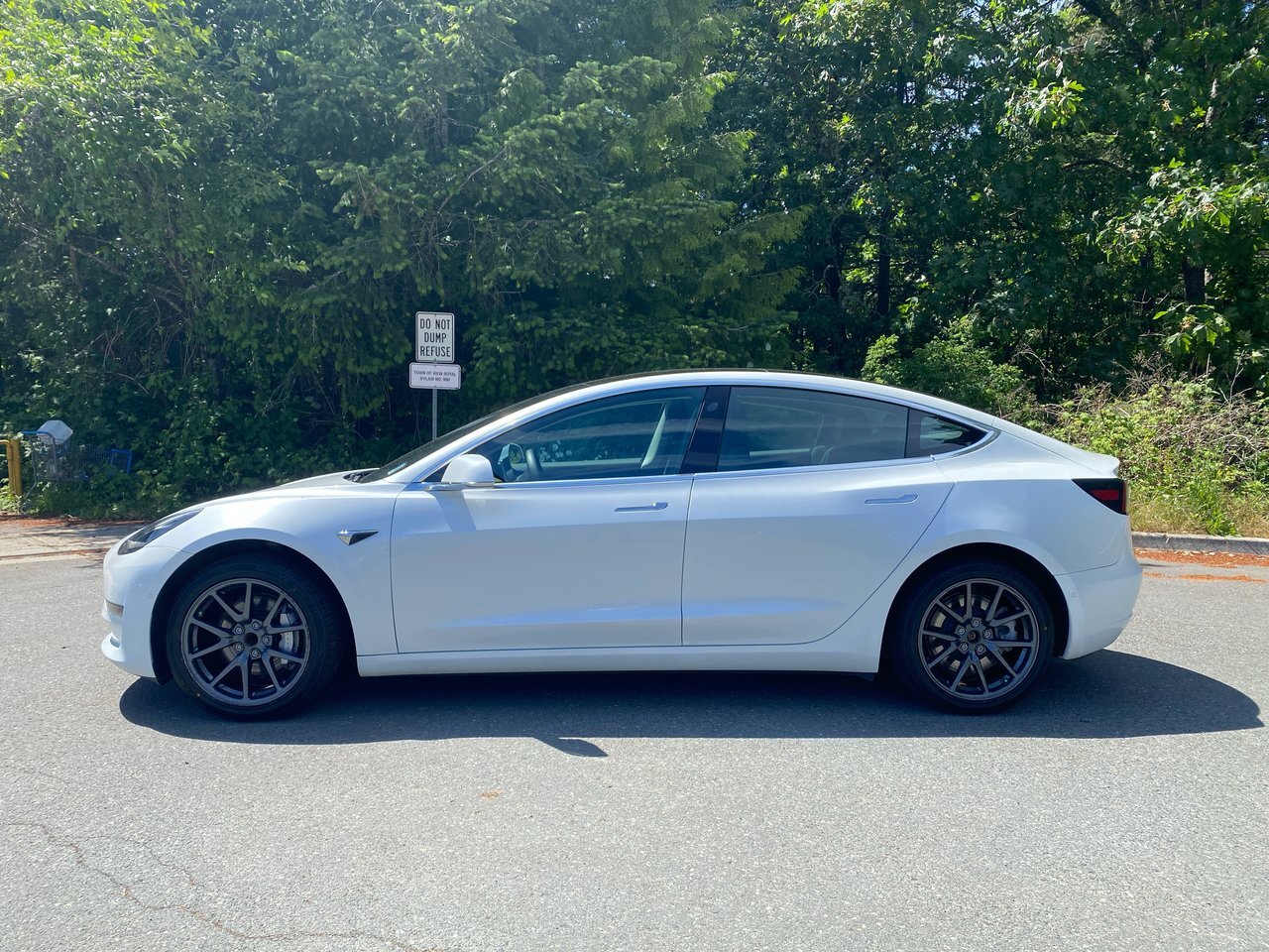 2019 Tesla Model 3 STANDARD RANGE PLUS 