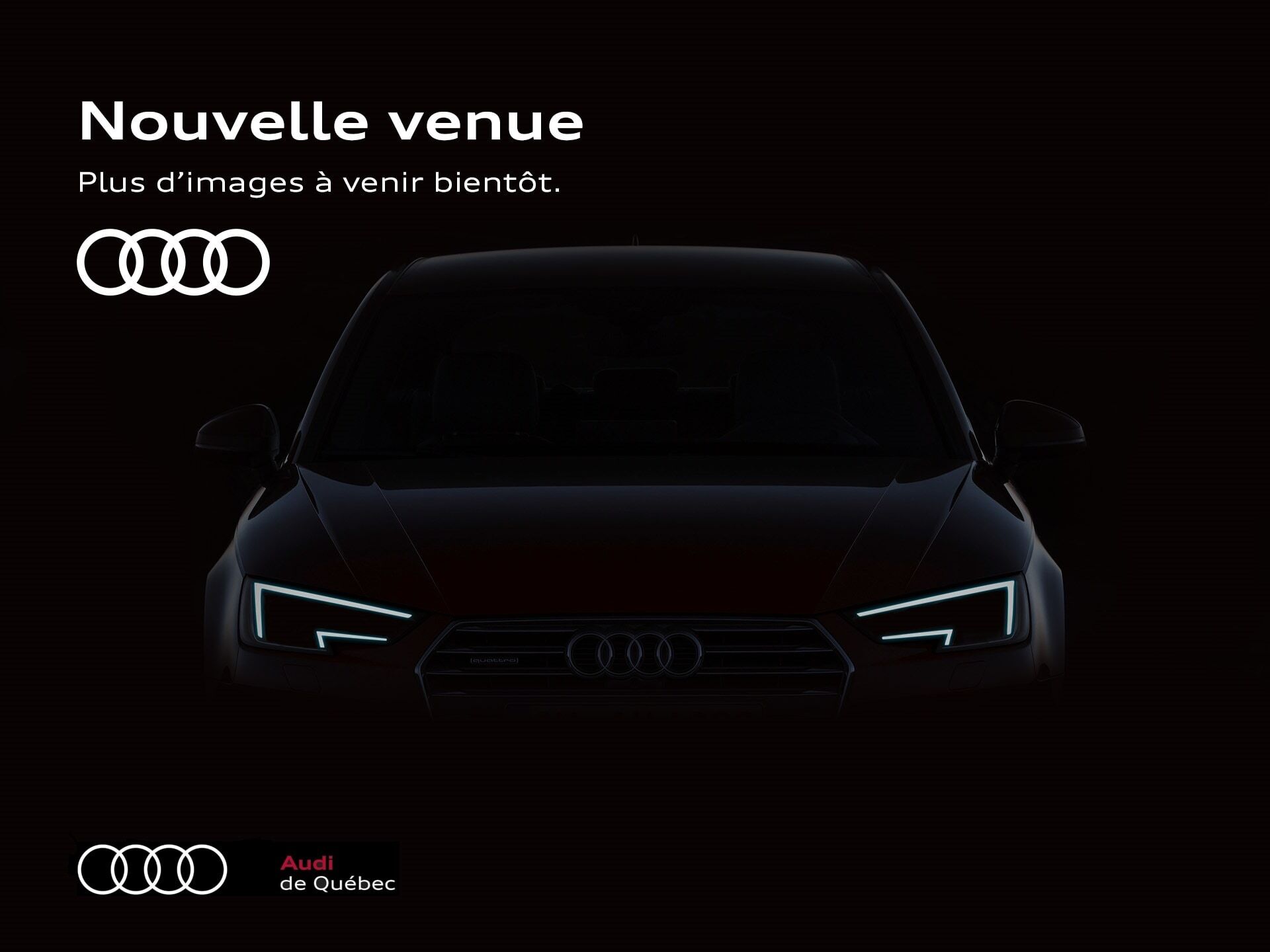 2022 Audi SQ5 3.0T Progressiv/mags 21 / black package