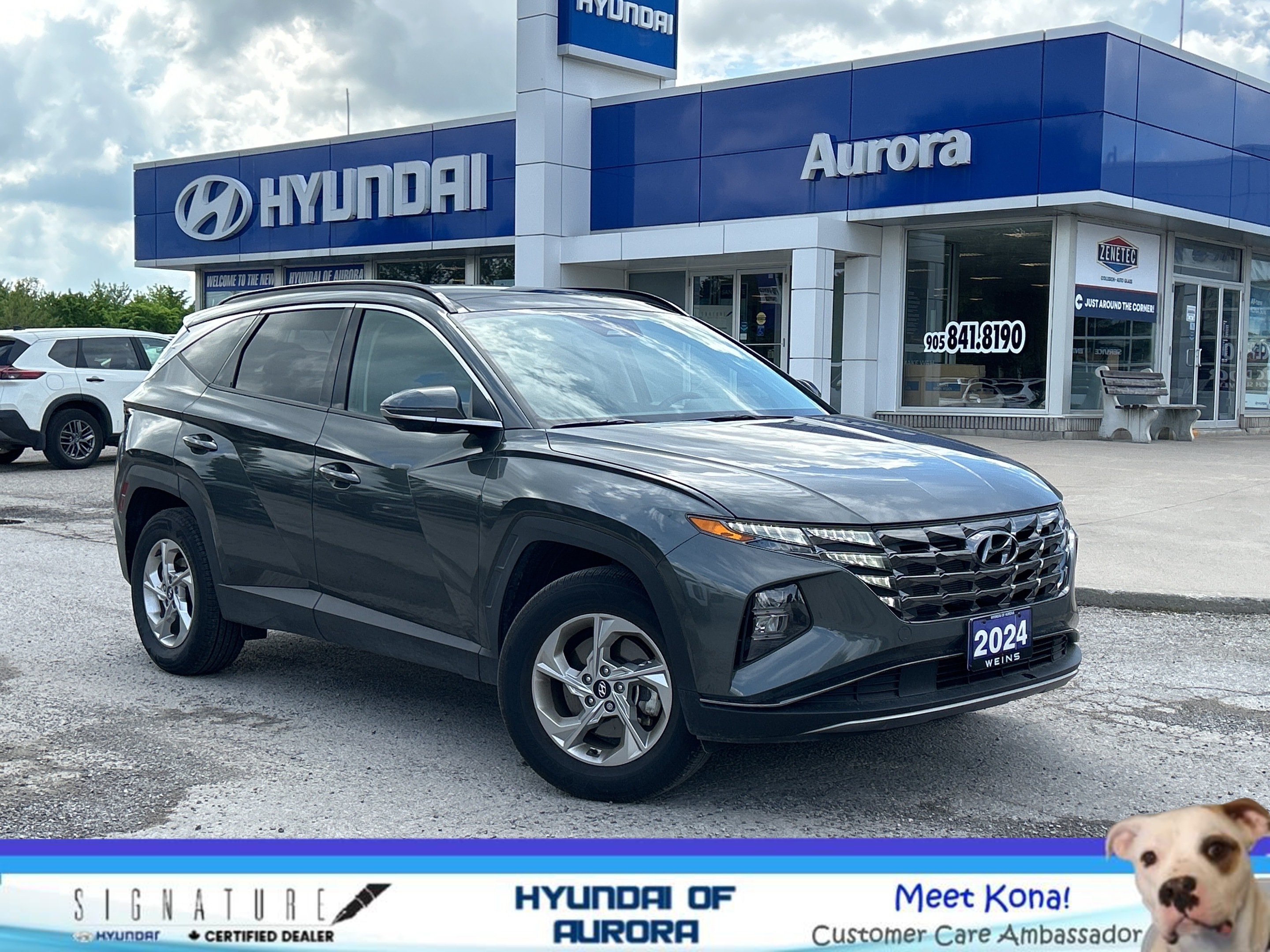 2024 Hyundai Tucson TREND AWD - HEATED LEATHER/PANO ROOF/PWR LIFTGATE