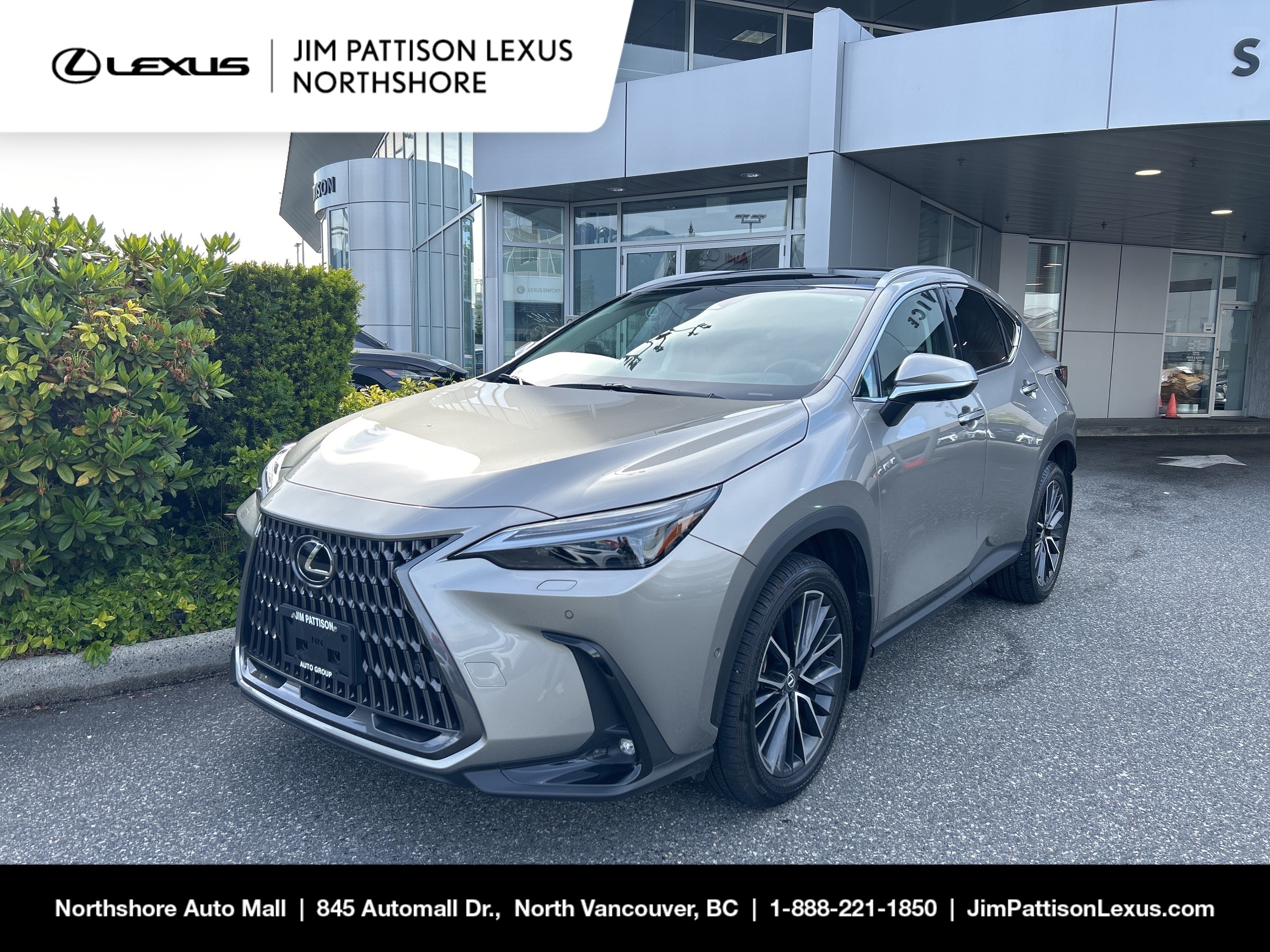 2024 Lexus NX NX 350h / EXECUTIVE PKG, NO ACCIDENTS, ONE OWNER