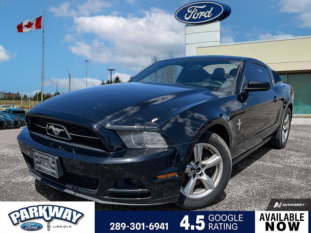 2014 Ford Mustang V6 Premium LEATHER | MANUAL | POWER SEATS