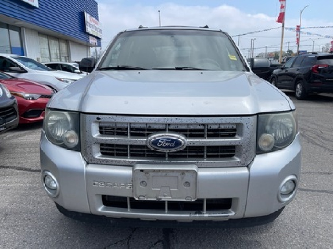 2010 Ford Escape XLT WE FINANCE ALL CREDIT | 700+ VEHICLES IN STOCK