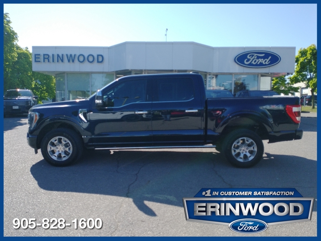 2021 Ford F-150 Platinum - <p>A Rugged Performer in Stunning Blue<