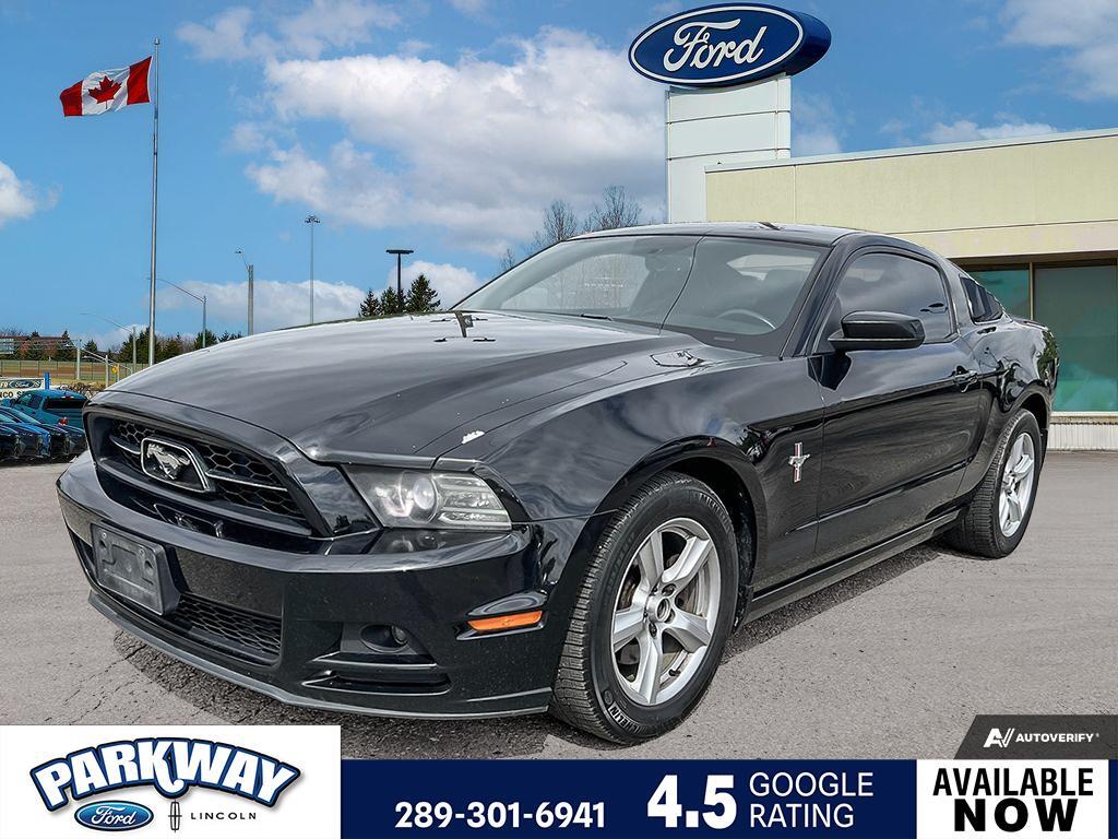 2014 Ford Mustang V6 Premium LEATHER | MANUAL | POWER SEATS