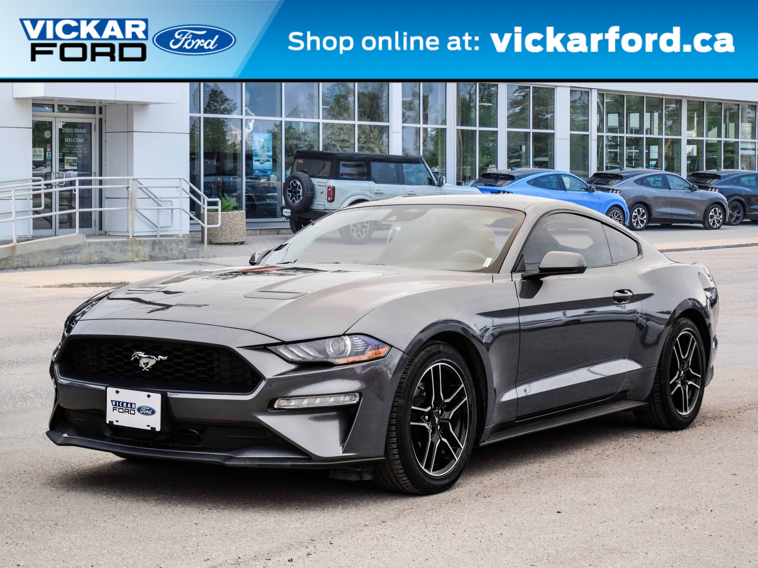 2021 Ford Mustang EcoBoost Fastback low Km Automatic Local Trade