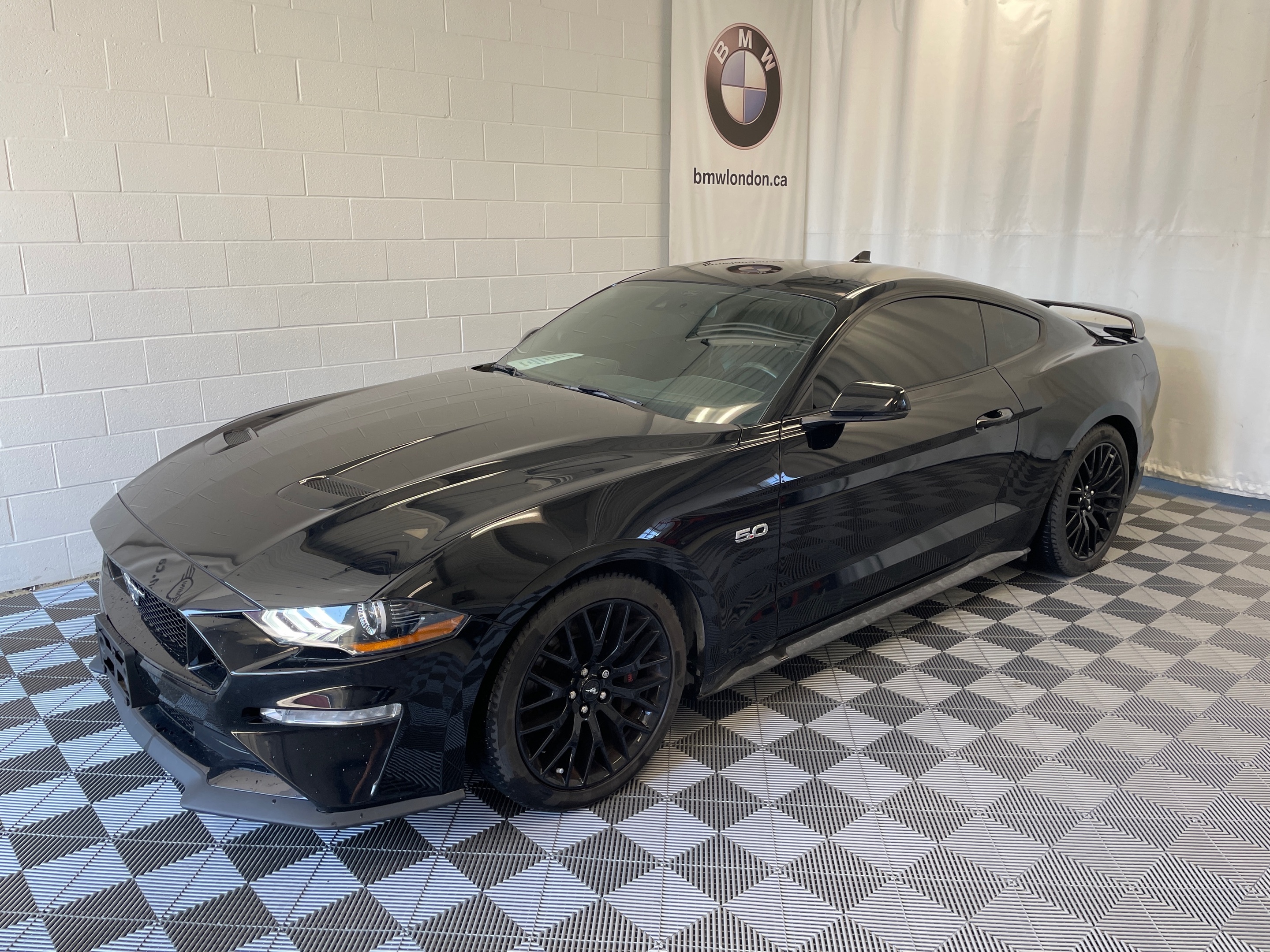 2021 Ford Mustang 5.0 / 6 speed | GT PERFORMANCE PACKAGE
