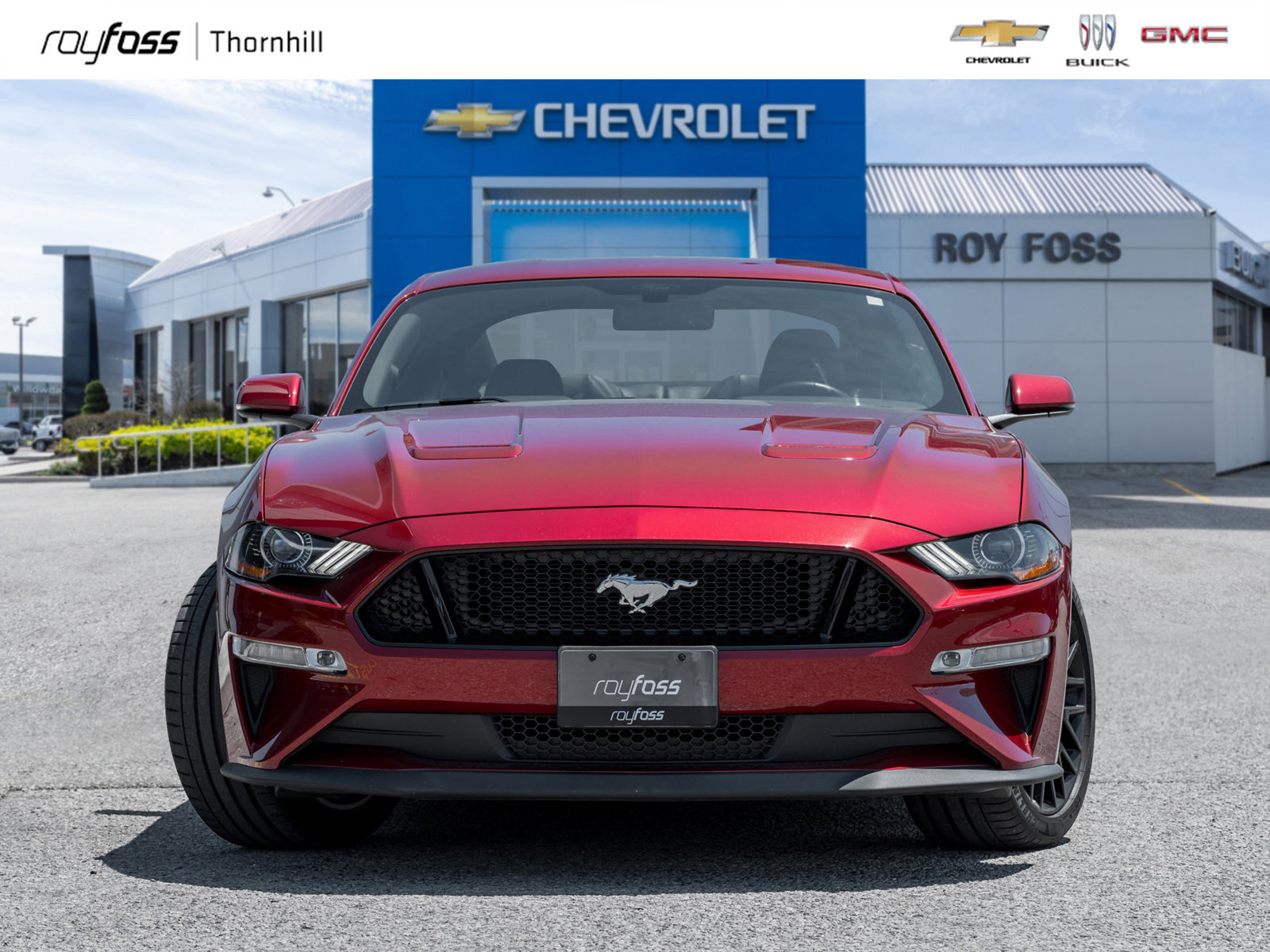 2019 Ford Mustang GT COUPE+MANUAL+LOW KMS