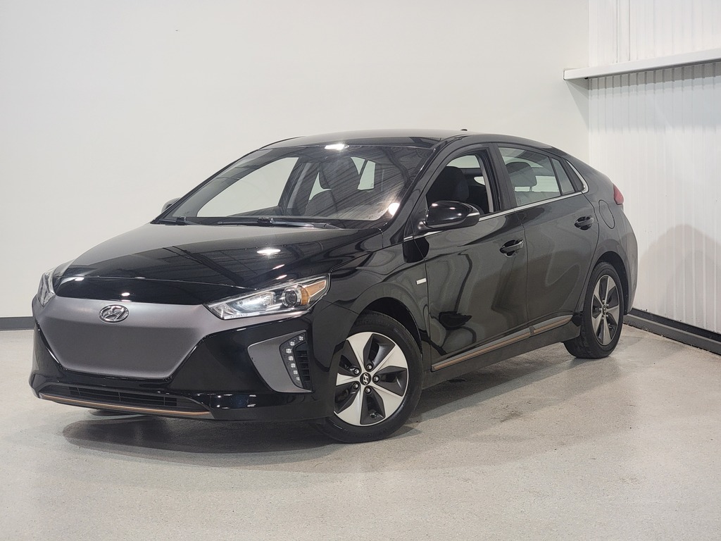 Hyundai Ioniq Electric 2019