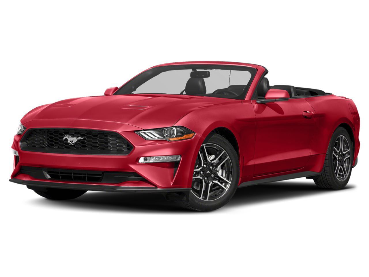 2019 Ford Mustang GT Premium | 500HP | CERAMIC | CATBACK EXHAUST